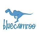 Bluecamroo