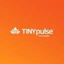 TINYpulse