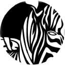 Zebrafi